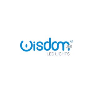 acquista prodotti a marchio wisdom led lights professionali